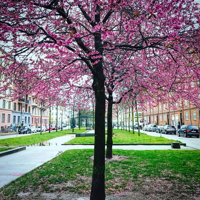 Copenhagen: Politically Incorrect Beer Tasting Walking Tour - The Sum Up