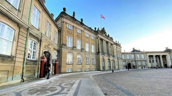 Copenhagen: Public 2-Hour Guided Walking Tour in French - Meet Your Guide