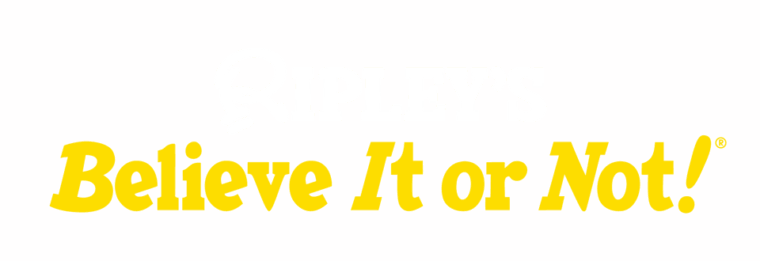 Copenhagen: Ripley's Believe It or Not! 4-Way Combo Ticket - The Sum Up: Is This Combo Worth It?  