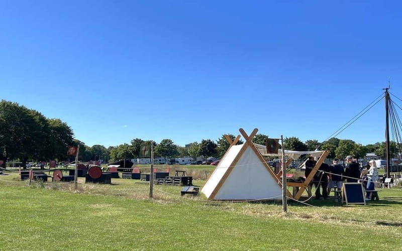 Copenhagen: Roskilde, the Viking City Tour in English - Who Will Love This Tour?