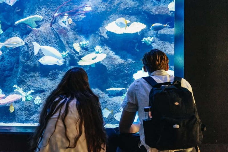 Copenhagen: Tivoli Gardens Entry Ticket - What to Expect at Tivoli Gardens