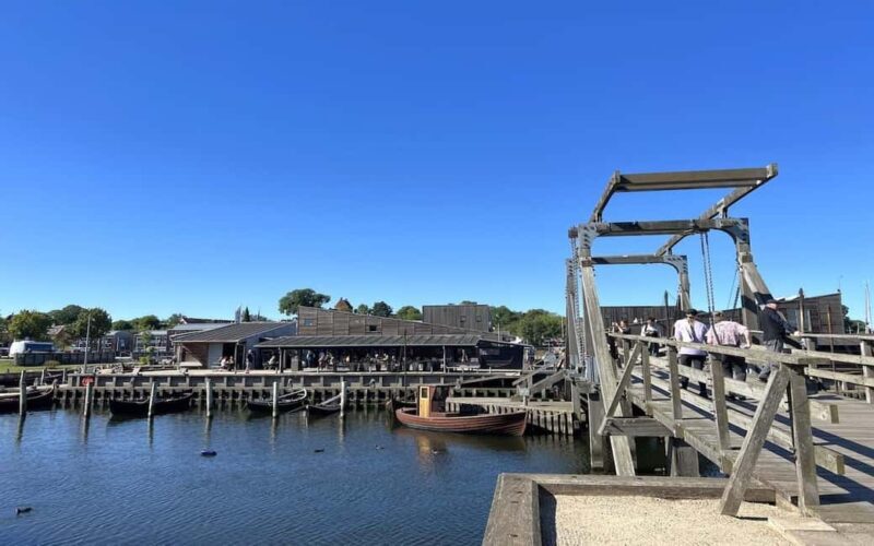 Copenhagen: Tour of Roskilde, the Viking city in Spanish - Good To Know