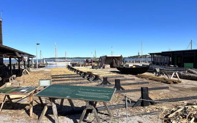 Copenhagen: Tour of Roskilde, the Viking city in Spanish - Price and Value Analysis