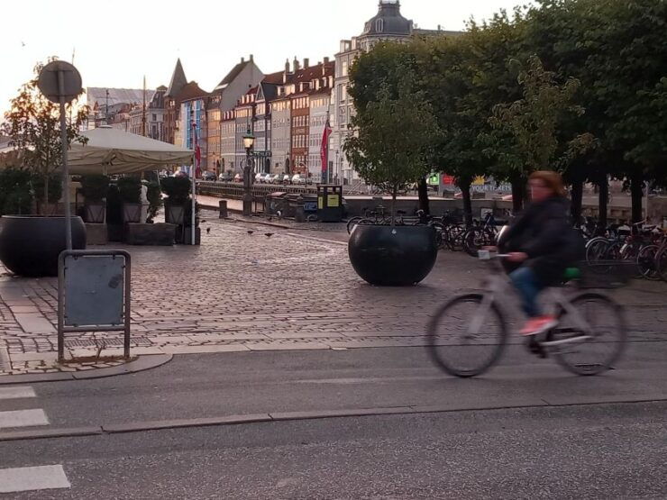 Copenhagen: Walking Tour 2 Hours - Booking Information