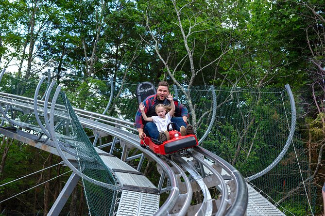 Copperhead Mountain Coaster - Competitive Pricing Options