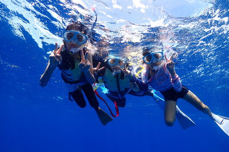 Coral and Sea Turtle Snorkeling - A turtle-focused trip in Yaeyama waters