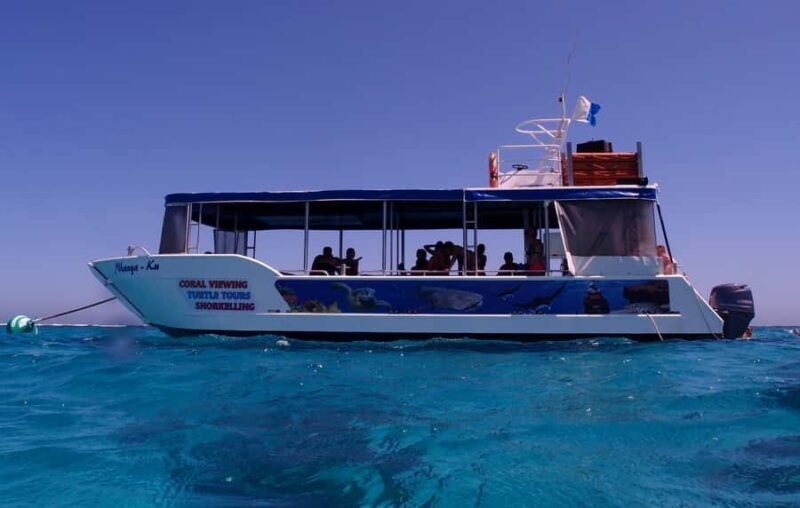 Coral Bay: 2-Hour Coral Viewing and Snorkeling - Introduction: What Makes This Tour Stand Out?