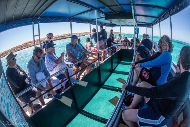 Coral Bay: 2-Hour Coral Viewing and Snorkeling - What You’ll Value in This Experience