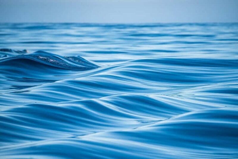 Coral Bay: Full Day Ningaloo Reef with Manta Rays Tour - Why Choose This Tour?