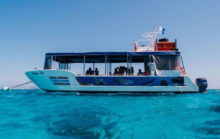 Coral Bay Glass-Bottom Boat Tour - Duration, Availability, and Live Tour Guide