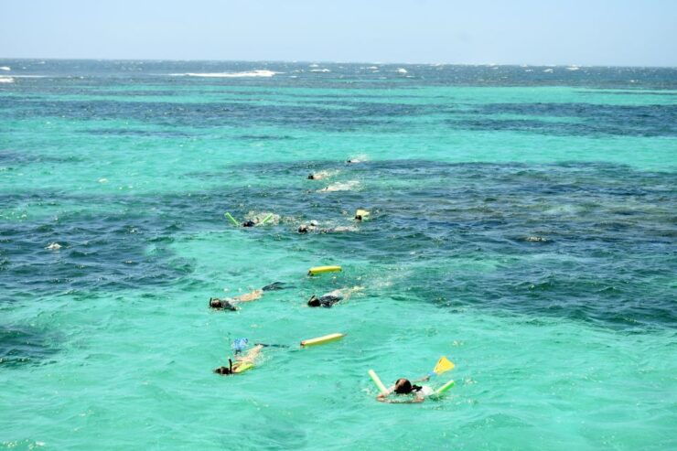Coral Bay: Ningaloo Reef 3-Hour Turtle Ecotour - Activity Details