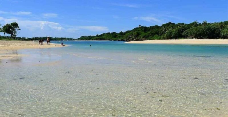 Coral Coast Adventure: Biausevu Waterfall & Natadola Beach - Authentic Reviews & Insights