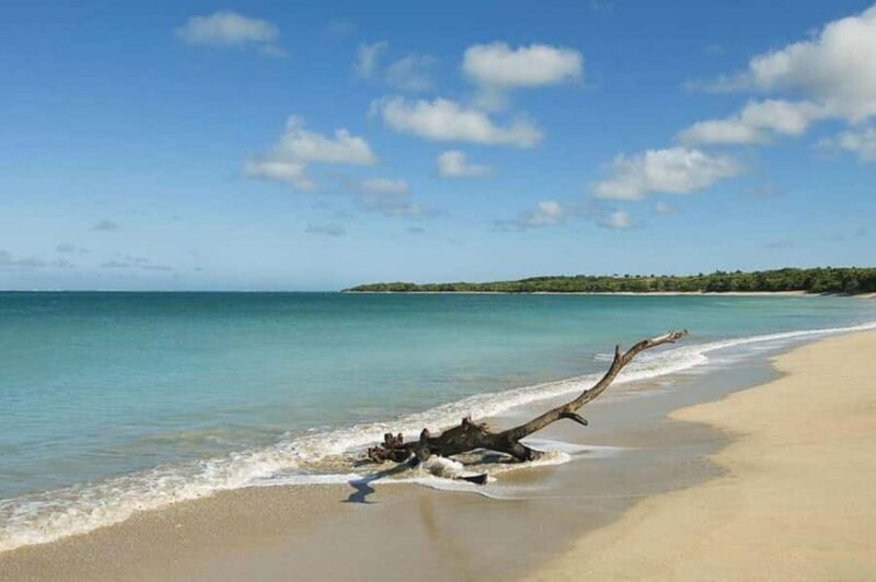 Coral Coast Adventure: Biausevu Waterfall & Natadola Beach - FAQs