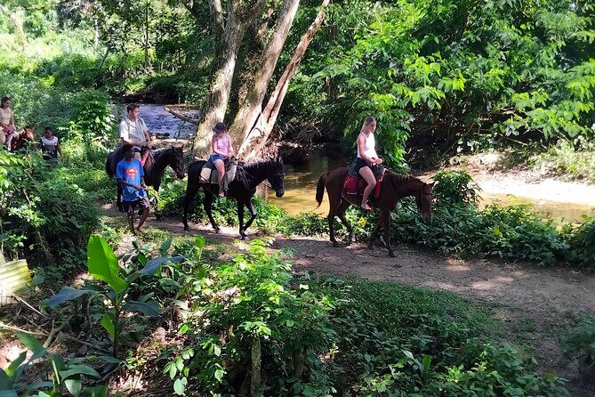 ''Coral Coast Adventure: Biausevu Waterfall & Natadola Beach !'' - FAQs