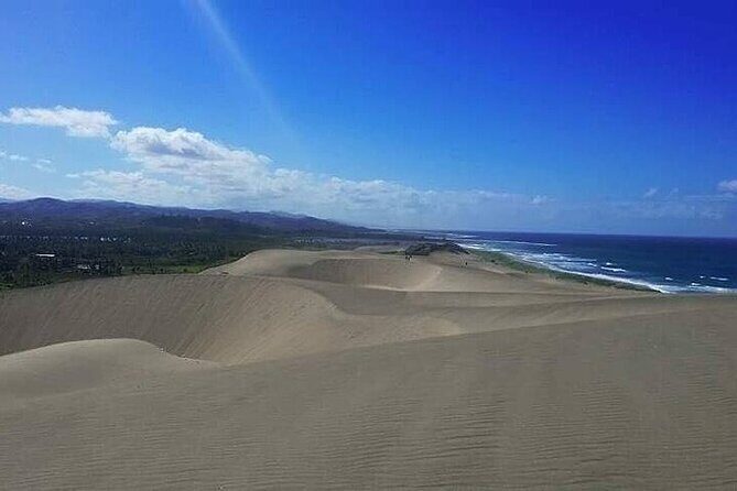 Coral Coast Tour Sand Dune to Momi Gunsite History Walk - Authentic Insights from Reviews