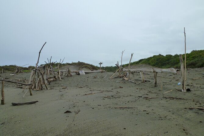 Coral Coast Tour Sand Dune to Momi Gunsite History Walk - Final Thoughts: Who Will Love This Tour?
