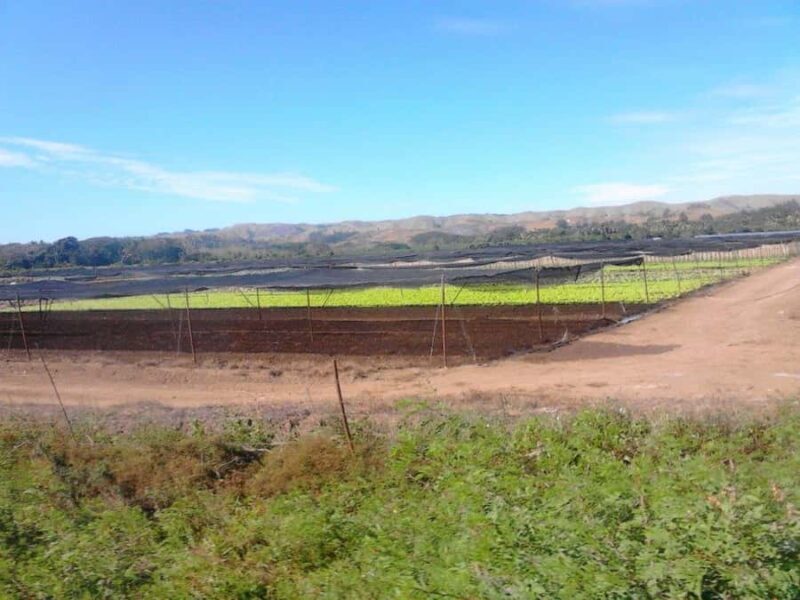 Coral Coast & Village School Tour from Nadi or Denarau - FAQs