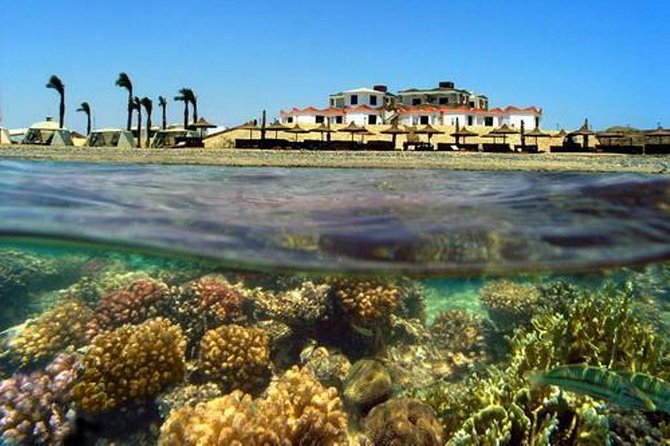 Coral Garden - Good To Know