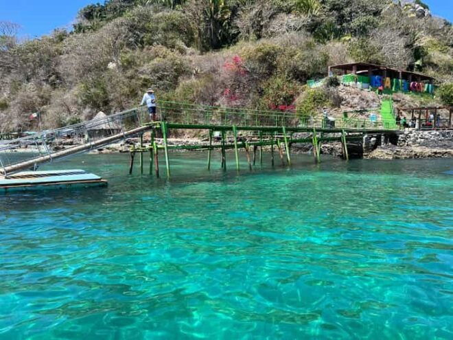 Coral Island Guayabitos Beach and Snorkeling - Tour Highlights