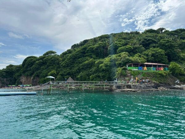 Coral Island Guayabitos Beach and Snorkeling - What to Expect