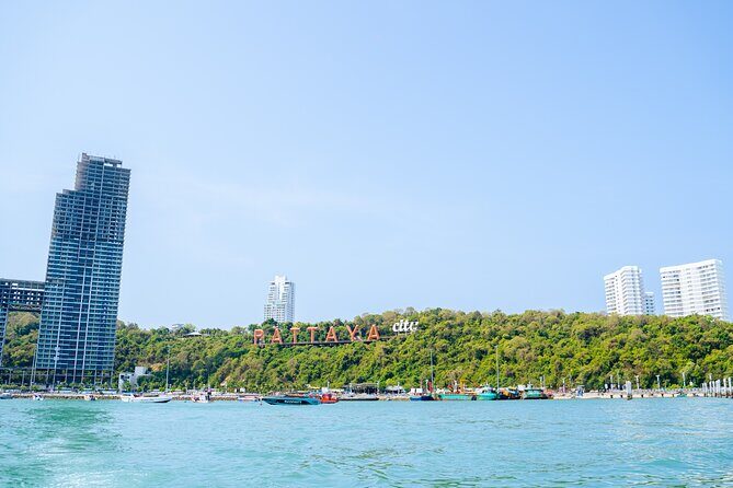 Coral Island Koh Larn Tour in Pattaya - Introduction: What to Expect from the Coral Island Koh Larn Experience