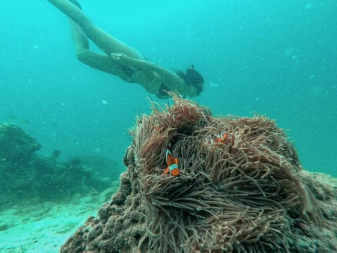 Coral Island Private Longtail Boat Tour From Phuket - Inclusions: Snorkeling Gear, Life Jackets, and More