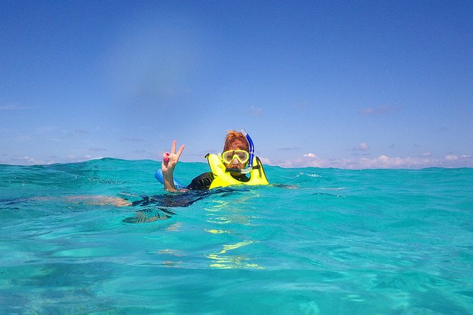 Coral Reef Private Snorkel Tour Out to John Pennekamp Coral Reef State Park - Tour Location and Meeting Point