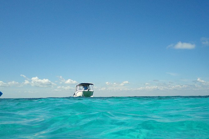 Coral Reef Private Snorkel Tour Out to John Pennekamp Coral Reef State Park - Customer Reviews and Recommendations