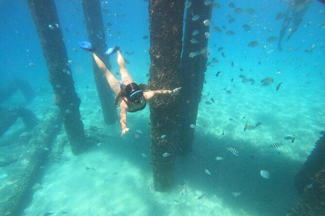 Coral Reef Snorkel Adventure with Photos and Videos - Good To Know