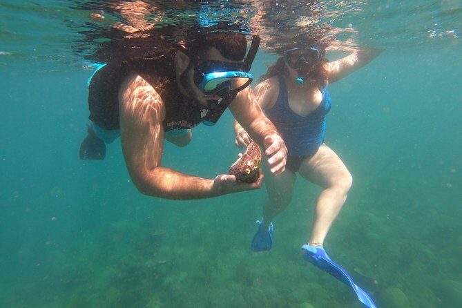 Coral Reef Snorkel Adventure with Photos and Videos - What the Tour Offers: An Honest Breakdown