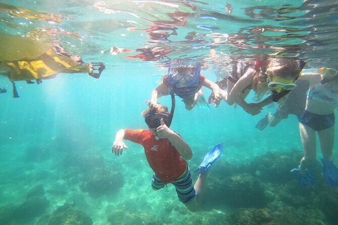 Coral Reef Snorkel Adventure with Photos and Videos - Final Thoughts