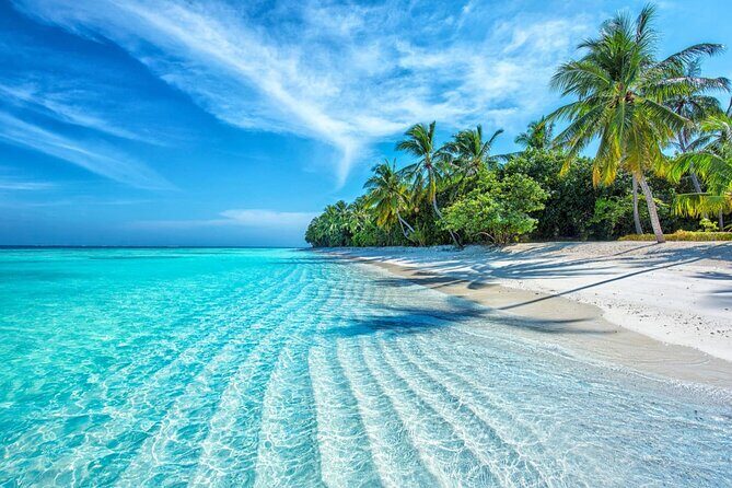 Coral Reef Snorkeling and Floating Bar Party from Nha Trang - The Full Experience: What to Expect