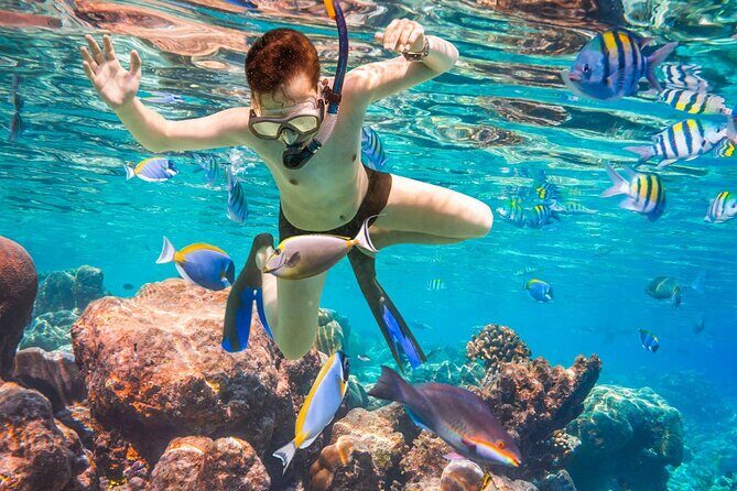 Coral Reef Snorkeling Expedition from Cancun with Beachside Lunch - Final Thoughts: Who Will Love This Tour?