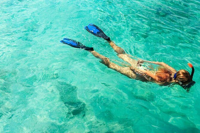 Coral Reef Snorkeling Expedition from Cancun with Beachside Lunch - Frequently Asked Questions (FAQs)