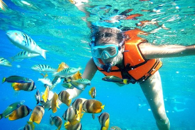 Coral Reef Snorkeling With Lunch and Roundtrip Transportation in Puerto Morelos - Pricing and Booking