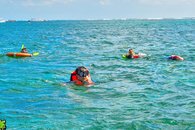 Coral Reef Snorkeling With Lunch and Roundtrip Transportation in Puerto Morelos - Water Conditions and Feedback