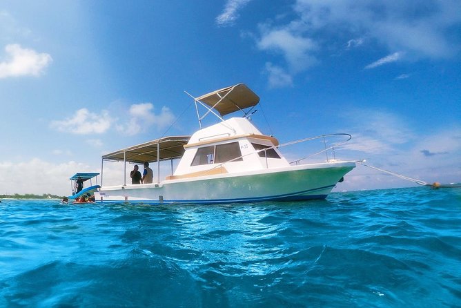 Coral Reef Snorkeling With Lunch and Roundtrip Transportation in Puerto Morelos - Customer Testimonials