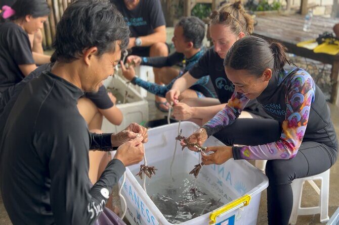 Coral Restoration Snorkeling Tour On Nusa Penida with NGO - Final Thoughts