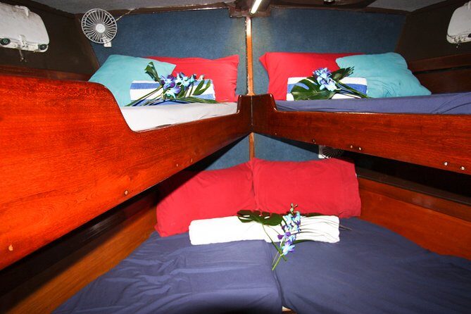 Coral Sea Dreaming Overnight Dive, Snorkel and Sail - Final Thoughts