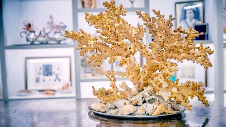 Coral Workshop and Visit of the Museum in Sicacca - Workshop Description