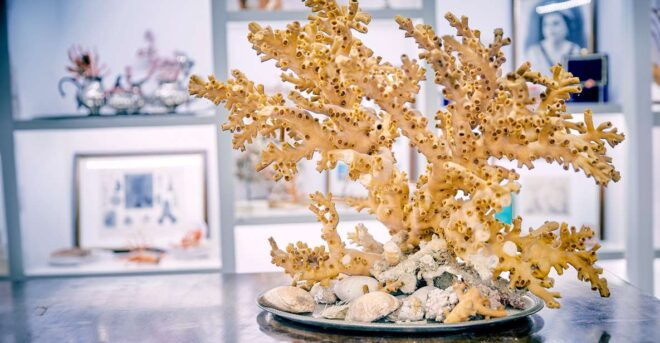 Coral Workshop and Visit of the Museum in Sicacca - Inclusions