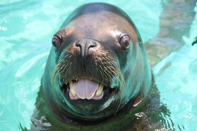 Coral World Ocean Park General Admission Ticket - Reviews of Coral World Ocean Park