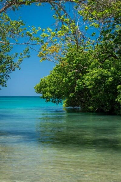 Coralina Islands Day Trip With Carriage Ride Cartagena - Frequently Asked Questions