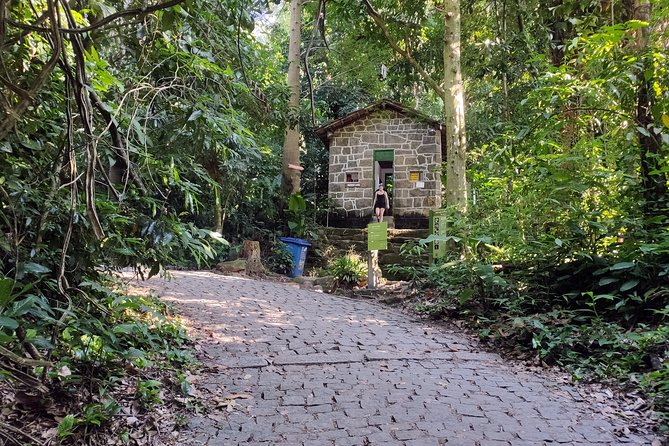 Corcovado Hiking Tour in Rio De Janeiro - Tour Itinerary