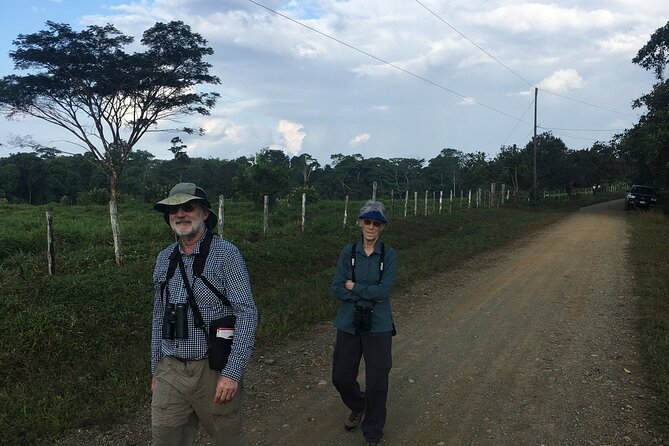 Corcovado Los Planes Birding Tour - Tour Highlights