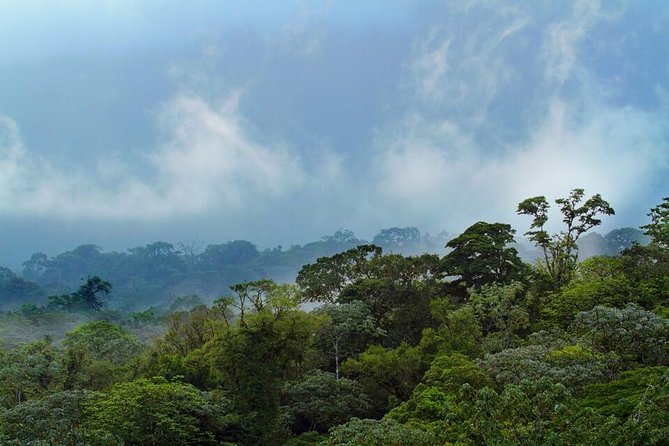 Corcovado National Park One Day Tour - Frequently Asked Questions