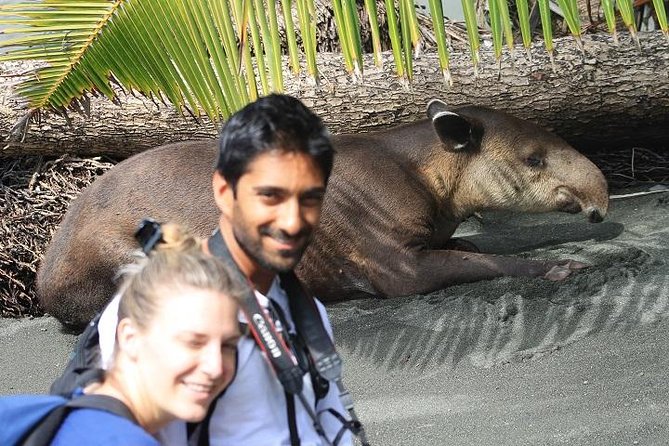 Corcovado Tour-Sirena Day Trip From Drake Bay - Itinerary Details