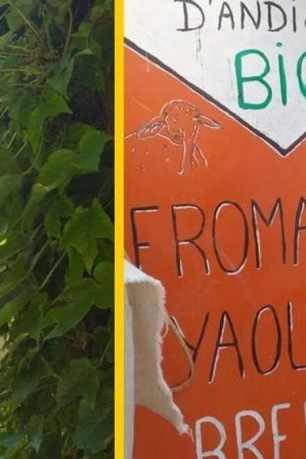 Cordes-Sur-Ciel: Gourmet Tour With Tastings - Itinerary Overview