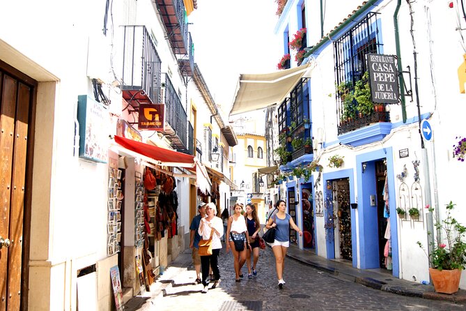 Cordoba and Its Mosque From Granada With Private Transfer - Meeting Point Details
