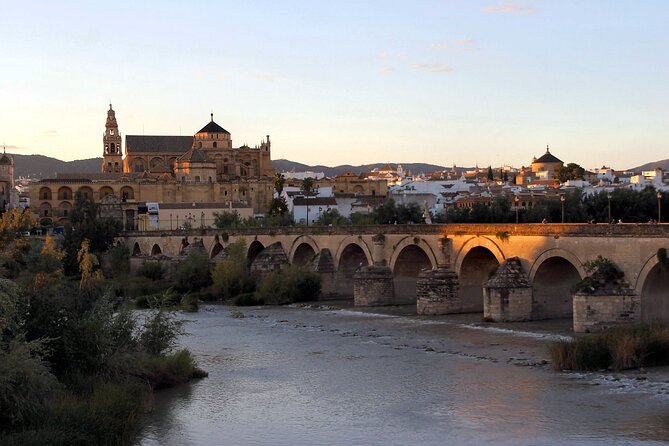 Cordoba and Its Mosque From Granada With Private Transfer - Activity Details